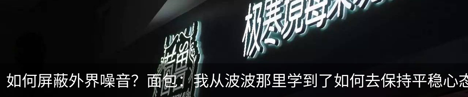 新闻动态