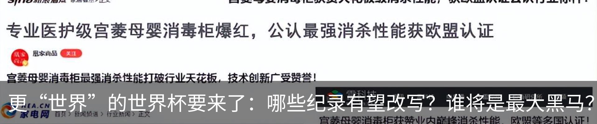 新闻动态