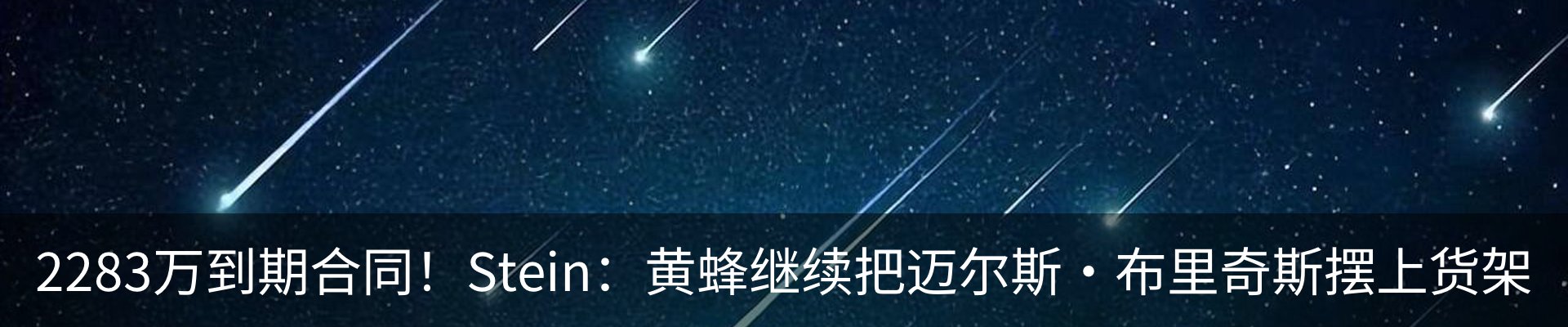 新闻动态